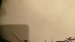 爱妹物语