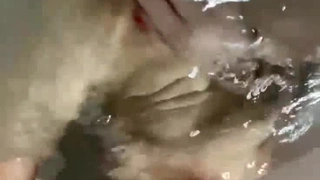 欧洲美女Mariangel Bell参加了一场铁杆三人行